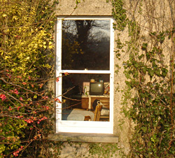 Cobh Library Windows